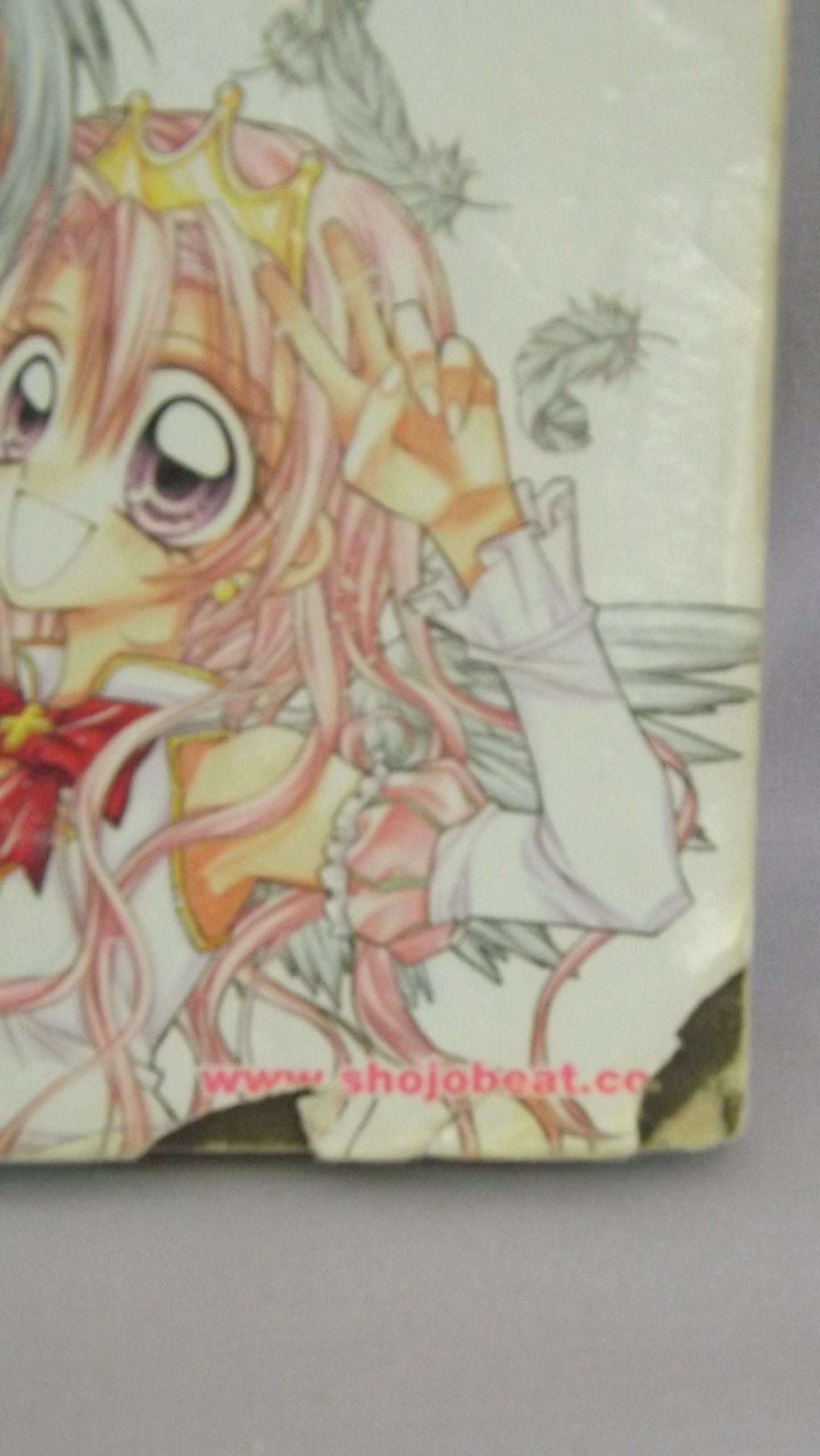 Mistress Fortune Manga