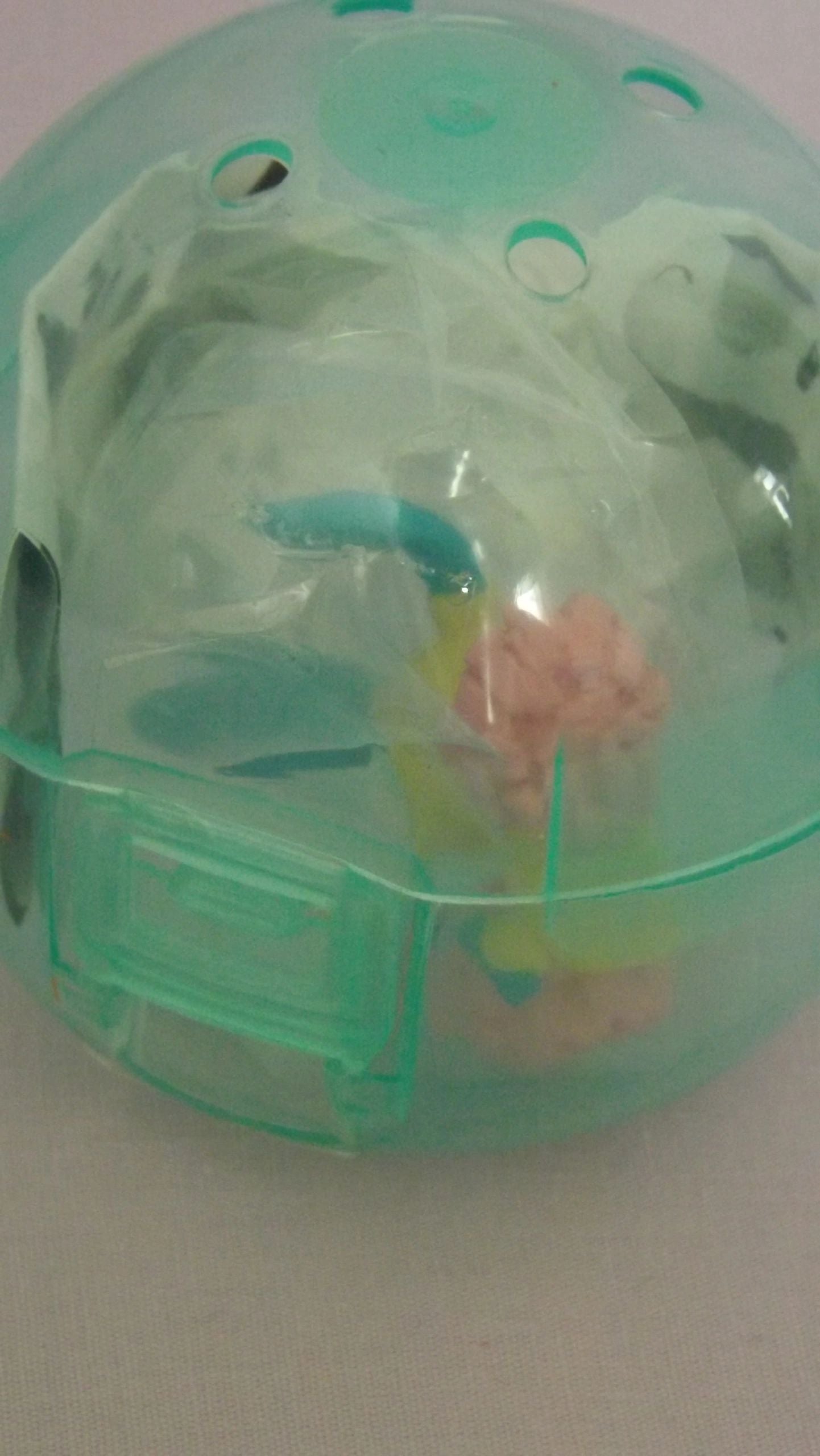 Pokemon Minun Cheerleader Gachapon